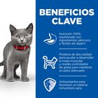 Hill’s Science Plan Sterilised Kitten Pollo pienso para gatos, , large image number null